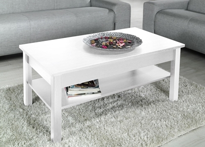 Picture of Cama coffee table UNI 110/60/47 white mat