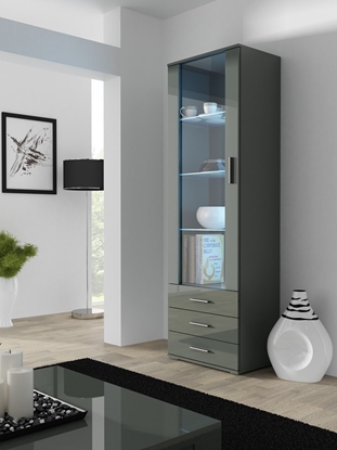 Attēls no Cama display cabinet SOHO S1 grey/grey gloss