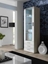 Picture of Cama display cabinet SOHO S1 sonoma oak/white gloss