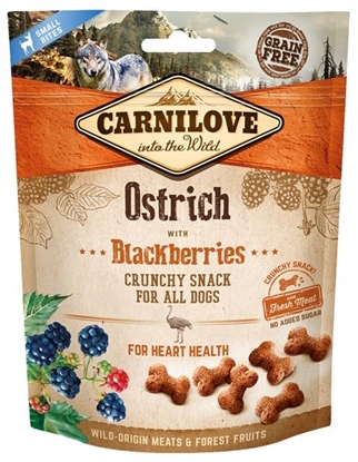 Attēls no CARNILOVE Fresh Crunchy Ostrich with blackberries - dog treat - 200 g