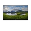Picture of DELL P5524Q Digital signage flat panel 138.7 cm (54.6") LCD 350 cd/m² 4K Ultra HD Black