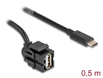Picture of Delock Keystone Module USB 2.0 A female to USB Type-C™ male 250° with cable 0.5 m