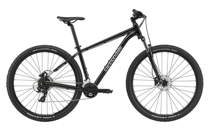 Picture of Dviratis 29" CANNONDALE TRAIL 29 8 /XS-S 27,5 M-XL 29 / (C26851M10/GRY) - xl
