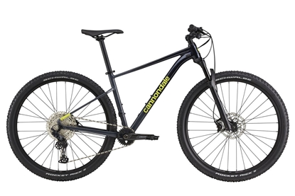Picture of Dviratis 29" CANNONDALE TRAIL 29 SL 2 (C26251M10/MDN) - xl