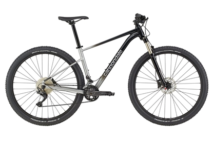 Picture of Dviratis 29" CANNONDALE TRAIL 29 SL 4 (C26451M10/GRY) - xl