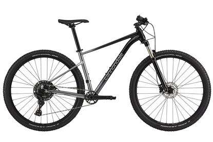 Picture of Dviratis 29" CANNONDALE TRAIL 29 SL 4 (C26452M10/GRY) - xl