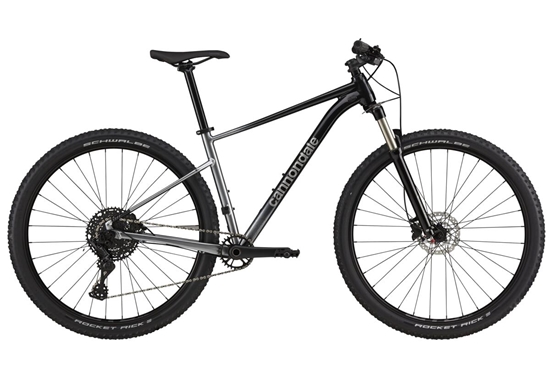 Picture of Dviratis 29" CANNONDALE TRAIL 29 SL 4 (C26452M10/GRY) - xl