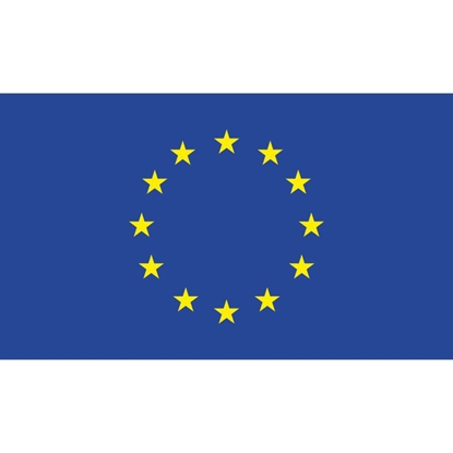 Attēls no Eiropas Savienības karogs, 100 x 150 cm