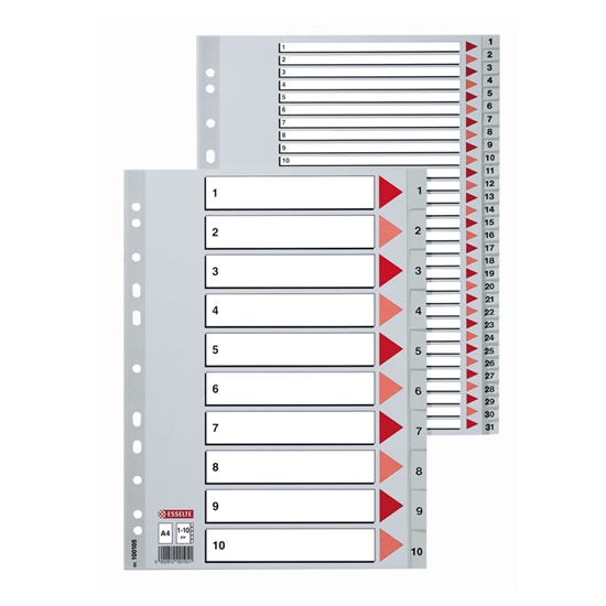Изображение Sadalītājs dokumentiem Esselte A4 formāts, 1-10, plastikāta