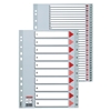 Picture of Sadalītājs dokumentiem Esselte A4 formāts, 1-20, plastikāta