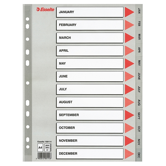 Picture of Sadalītājs dokumentiem Esselte A4 formāts, Jan.-Dec., plastikāta
