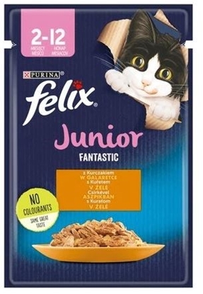 Attēls no Felix Fanstastic Junior - wet cat food - 85 g