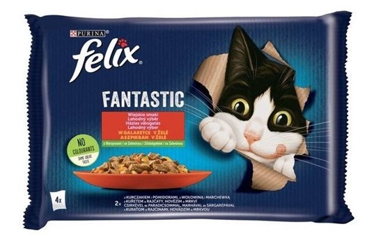 Picture of Felix Fantastic country flavors meat with vegetables - chicken with tomatoes, beef with carrots - 340g (4x 85 g)