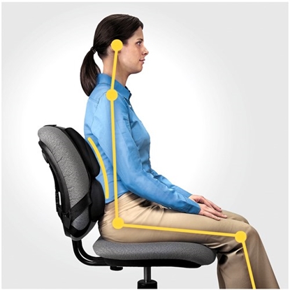 Attēls no Fellowes Ergonomics professional back support pillow