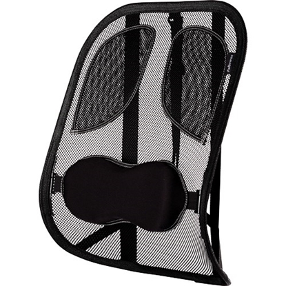 Picture of Fellowes Ergonomics professional mesh back support cushion