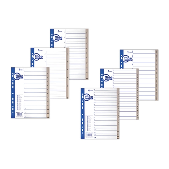 Picture of Sadalītājs dokumentiem FORPUS A4 formāts, 1-20 plastikāta