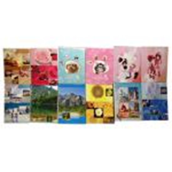 Picture of Fotoalbums 10x15/36 P2-4636