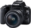 Изображение Fotoaparatas CANON EOS 250D + 18-55mm Kit, juodas