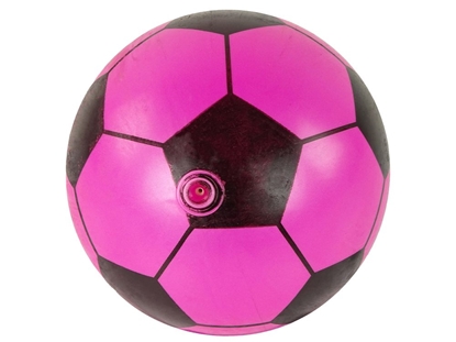 Attēls no Guminis kamuolys, 23 cm, rožinis