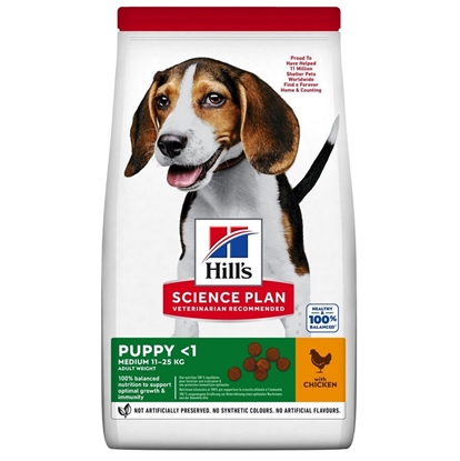 Picture of HILL'S SP Canine Puppy Medium Chicken - dry dog food - 18 kg