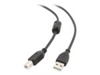 Picture of Kabelis Gembird Premium USB Male - USB Male B 3m Black