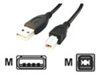 Изображение Kabelis Gembird USB Male - USB Male B 3m Black