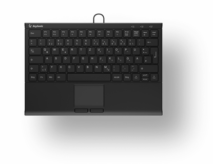 Picture of KeySonic KSK-5211ELU (DE) keyboard USB QWERTZ German Black