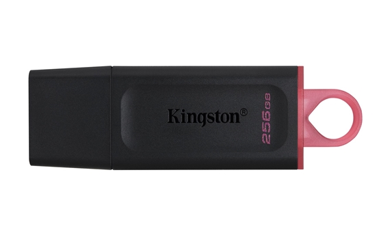 Picture of Kingston Technology DataTraveler Exodia - USB 3.2 Flash Drive