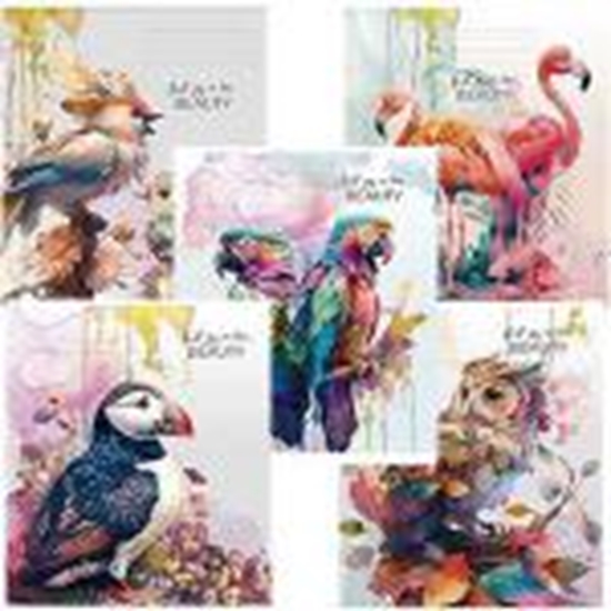 Picture of Klade A5/48 lapas rūtiņu,  Beauty