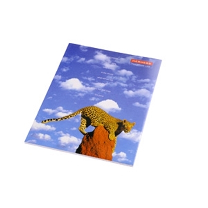 Attēls no Klade st. 48 rūtiņu, Flower