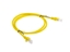 Picture of Lanberg Patchcord RJ45, Cat. 5e, UTP, 1m, Yellow
