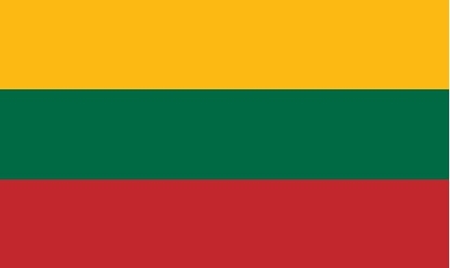 Attēls no Lietuvas valsts karogs, 100 x 170 cm, no bieza auduma