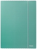 Picture of Mape ar gumiju Esselte Colour'Breeze, A4, kartons, zaļš