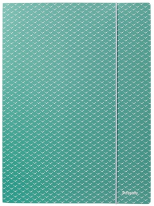 Изображение Mape ar gumiju Esselte Colour'Breeze, A4, kartons, zaļš