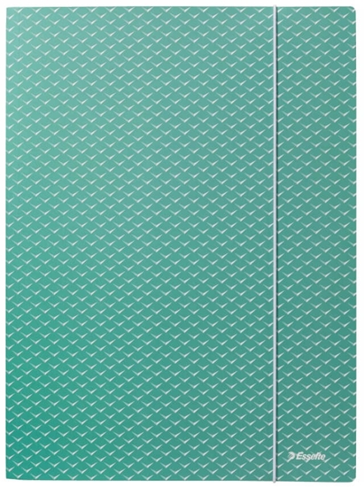 Picture of Mape ar gumiju Esselte Colour'Breeze, A4, kartons, zaļš