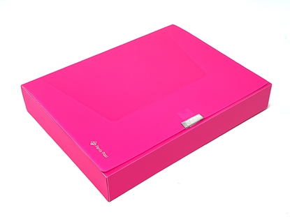 Attēls no Mape ar līplentes aizdari PANTA PLAST Neon, PP, A4, 55 mm, rozā