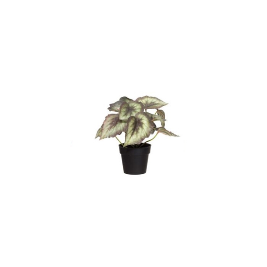 Picture of Mākslīgie augi 4Living Begonija 22cm 3-krāsas