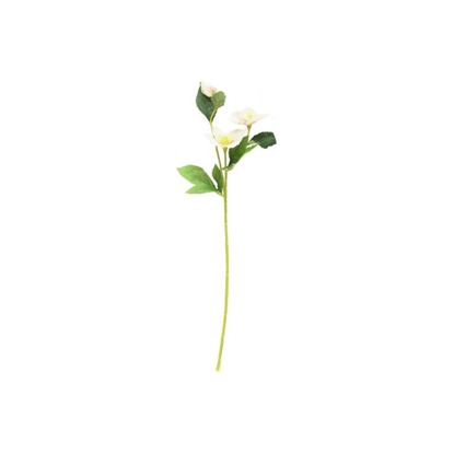 Изображение Mākslīgie augi 4Living Helleborus 3-krāsas 55cm