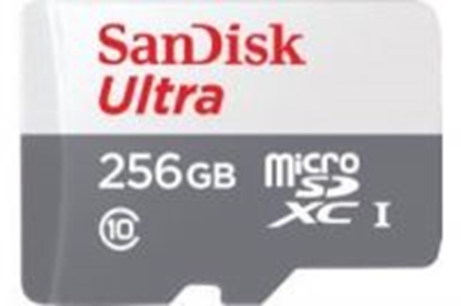 Picture of MEMORY MICRO SDXC 256GB UHS-I/SDSQUNR-256G-GN6TA SANDISK