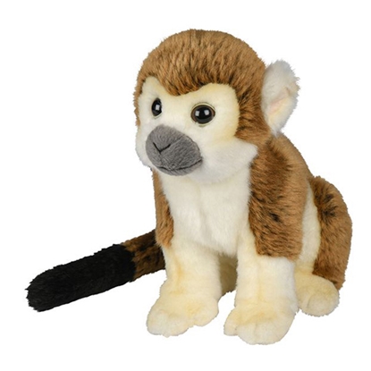 Attēls no Mīkstā rot. Squirrel Monkey