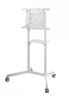Picture of NEWSTAR MOBILE FLAT SCREEN FLOOR STAND (HEIGHT: 160 CM) 37-70" WHITE