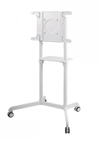 Picture of NEWSTAR MOBILE FLAT SCREEN FLOOR STAND (HEIGHT: 160 CM) 37-70" WHITE