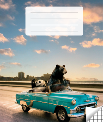 Изображение Pierakstu klade 36 lapas, 90 g/m2, vāks 200 g/m2, rūtiņu