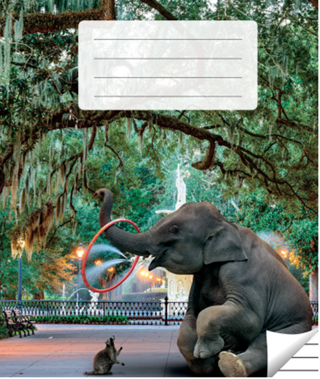 Picture of Pierakstu klade, 200 x 165 mm, 36 lapas, 90 g/m2, vāks 200 g/m2, līniju