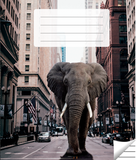 Picture of Pierakstu klade, 200 x 165 mm, 36 lapas, 90 g/m2, vāks 200 g/m2, līniju