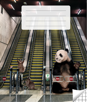 Изображение Pierakstu klade, 200 x 165 mm, 36 lapas, 90 g/m2, vāks 200 g/m2, rūtiņu