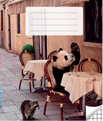 Изображение Pierakstu klade, 200 x 165 mm, 36 lapas, 90 g/m2, vāks 200 g/m2, rūtiņu