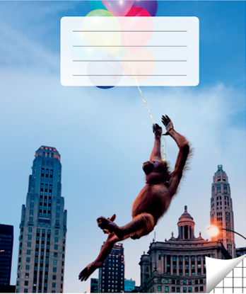 Изображение Pierakstu klade, 200 x 165 mm, 36 lapas, 90 g/m2, vāks 200 g/m2, rūtiņu