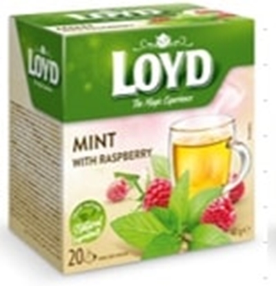 Picture of Piparmētru tēja LOYD Pyramids HERBAL ar avenēm 20x1,5g
