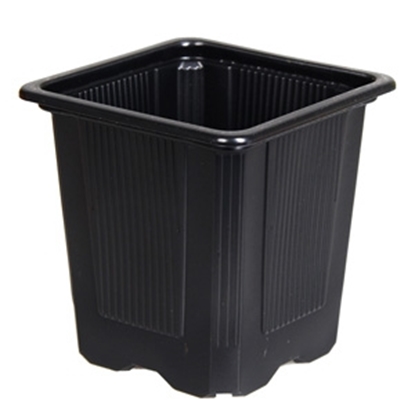 Attēls no Puķu podi VTD 8x8x8 melni 1gb.